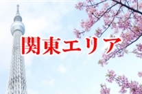 引越しザウルス