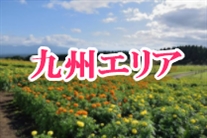 引越しザウルス