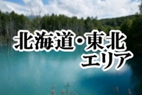 引越しザウルス